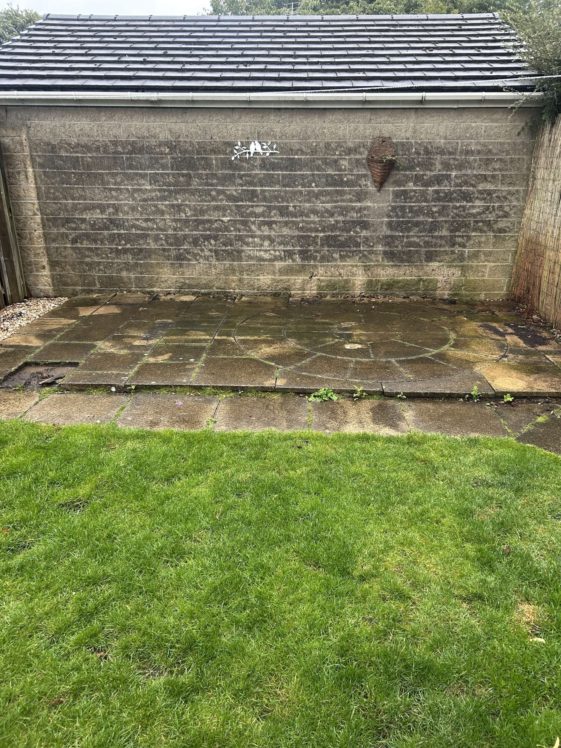 Project Before